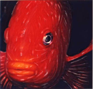 JEFFTWO/HOYFISHEYE11.jpg